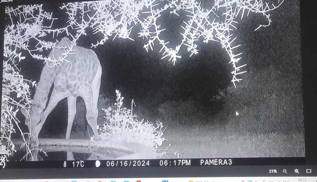 Dan Perkins tweet media