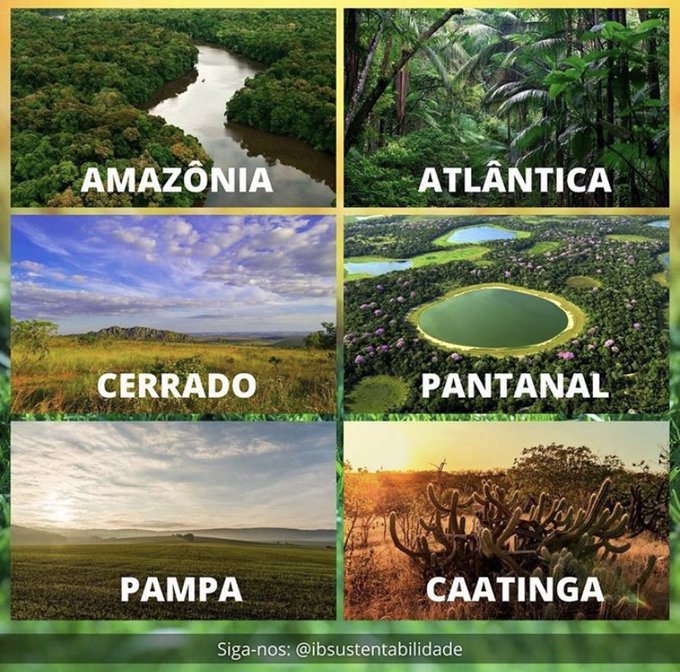 FotosDeFatos's tweet photo. Os biomas brasileiros. https://t.co/pP8Q1OWtNi