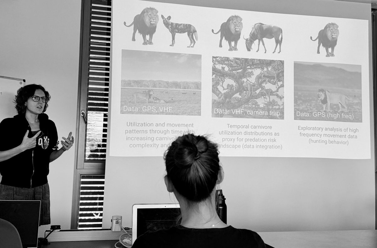 Meredith S. Palmer, Ph.D. (@songofdodo) on Twitter photo Kicking off <a href="/AniMove/">AniMove is on Bluesky @animove-course.bsky.social</a> Week #2 with a lightning round of introductions to the systems and species we’ll each be digging into over the next five days. I’ve got data from lions, lions, and welp, more lions 😅 Kicking off <a href="/AniMove/">AniMove is on Bluesky @animove-course.bsky.social</a> Week #2 with a lightning round of introductions to the systems and species we’ll each be digging into over the next five days. I’ve got data from lions, lions, and welp, more lions 😅