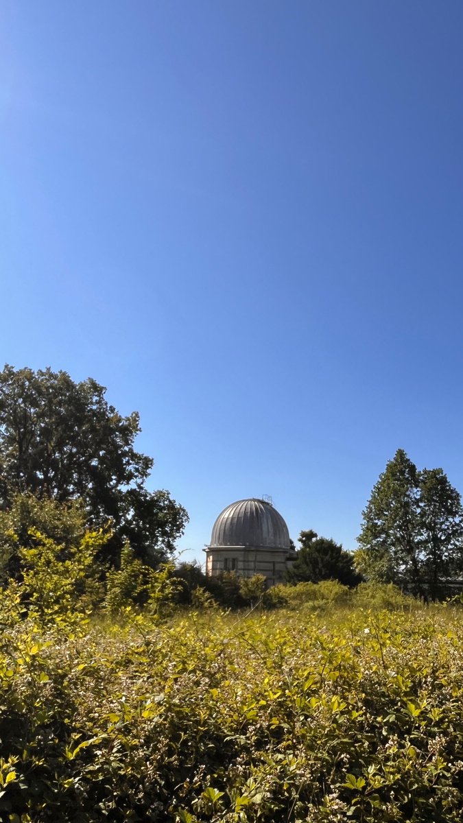 Dr Roger Blue Stabbins (スタビン ロジェ ブルー) tweet media