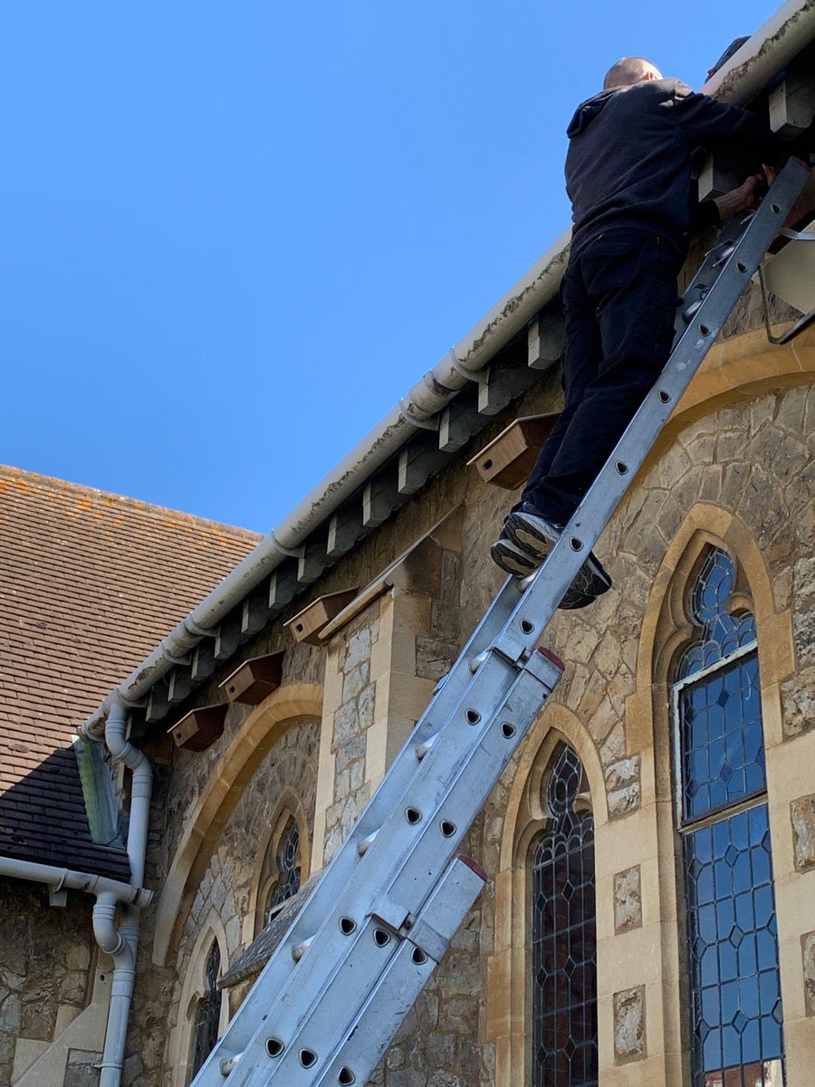 SoSSwifts's tweet image. A SOSSwift Community Set has gone to the United Reform Church in Felixstowe, multiple nest boxes and a 240V call system being installed up high thanks to @KrispinDaKoonah. It will take time but Swifts will find these new places to breed @SuffolkBirdGrp @suffolkwildlife