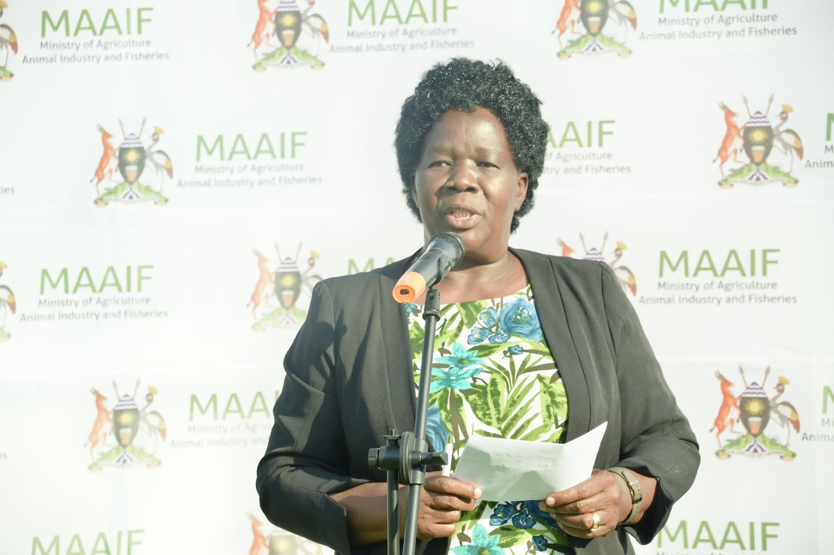 DrRwamiramaBK's tweet image. I today handed 553,780 doses 
of FMD vaccines to benefit 23 Districts covering the hot spots and cross border Districts prone to FMD at the National Animal Diseases Diagnostic Epidemiology Center in Entebbe