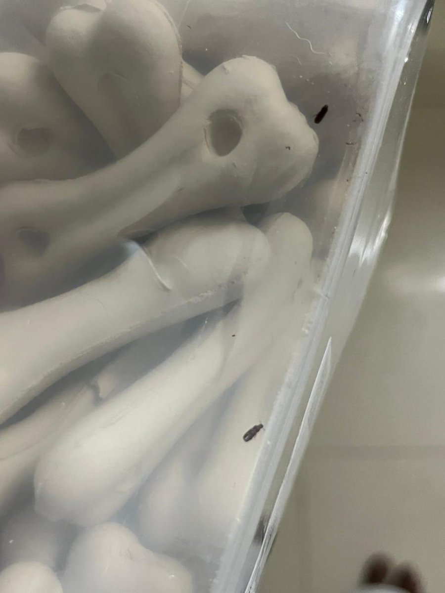 hvchaudhary98's tweet image. Urgent matter regarding Order #ORD176814231 from @letsblinkit @deepigoyal @zomato Received Drools Absolute Calcium Bone Dog Supplement with insects inside the packaging. Not the quality I expected! Need immediate assistance for a replacement or refund #QualityIssue