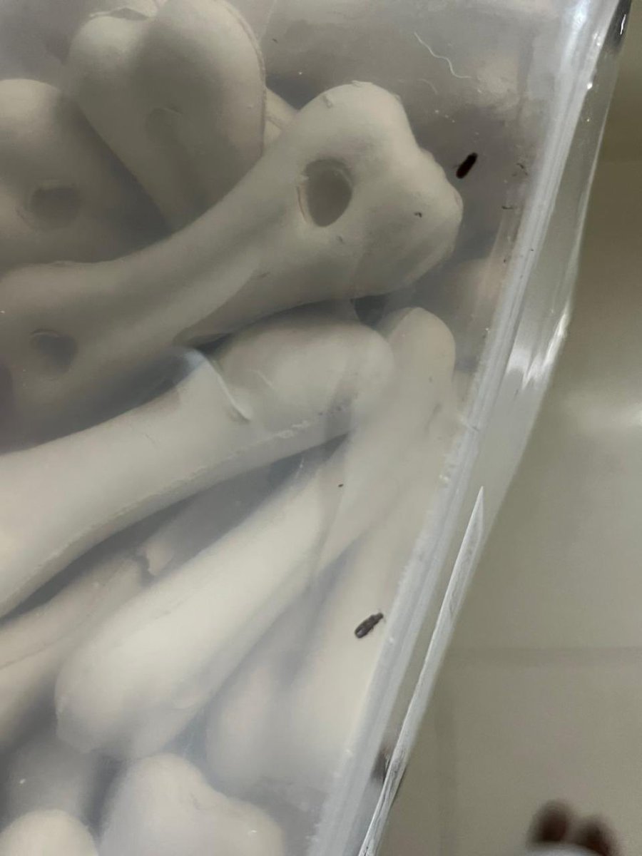 hvchaudhary98's tweet image. Urgent matter regarding Order #ORD176814231 from @letsblinkit @deepigoyal @zomato Received Drools Absolute Calcium Bone Dog Supplement with insects inside the packaging. Not the quality I expected! Need immediate assistance for a replacement or refund #QualityIssue