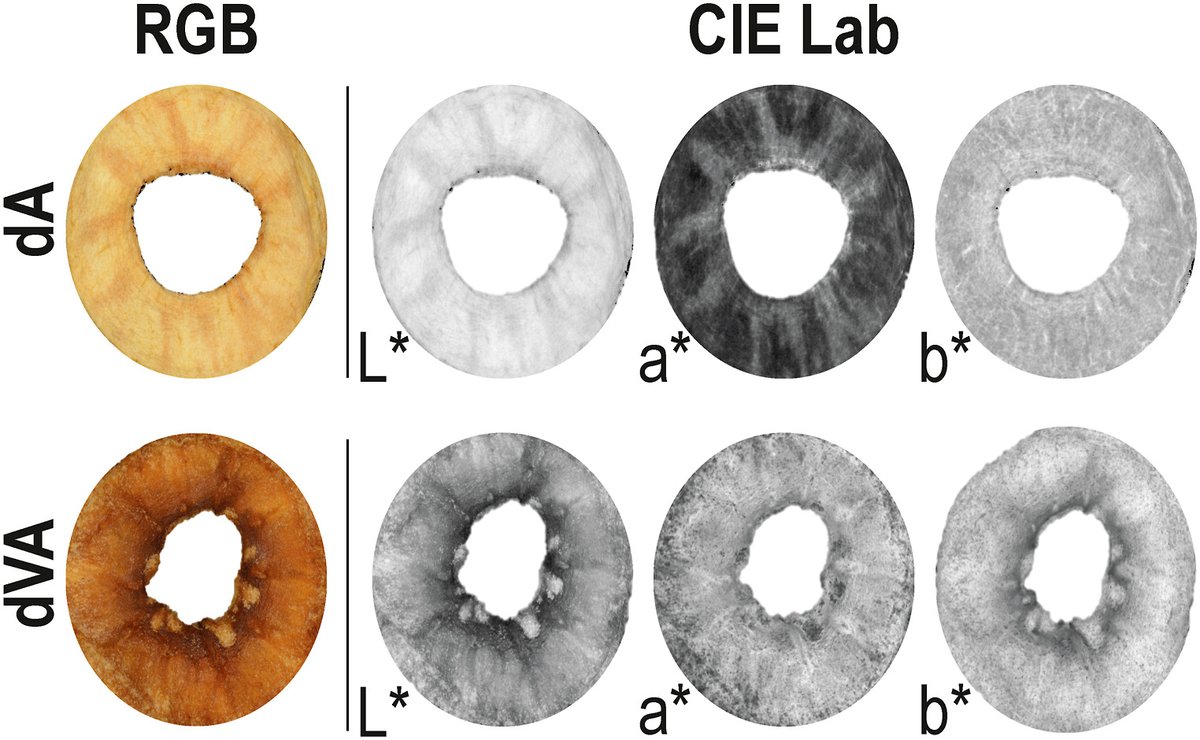 📢Use of #yacon juice for the development of #prebiotic-rich 🦠organic #apple-based #snacks 🍎through vacuum impregnation and air drying 
👉urly.it/3asmr  #food #foodtechnology #microbiology <a href="/mildsusfruit/">Mildsusfruit</a>  @distal_agr15 @distal_unibo <a href="/susfood_eranet/">SUSFOOD ERA-NET</a> <a href="/CORE_Organic/">CORE Organic</a>