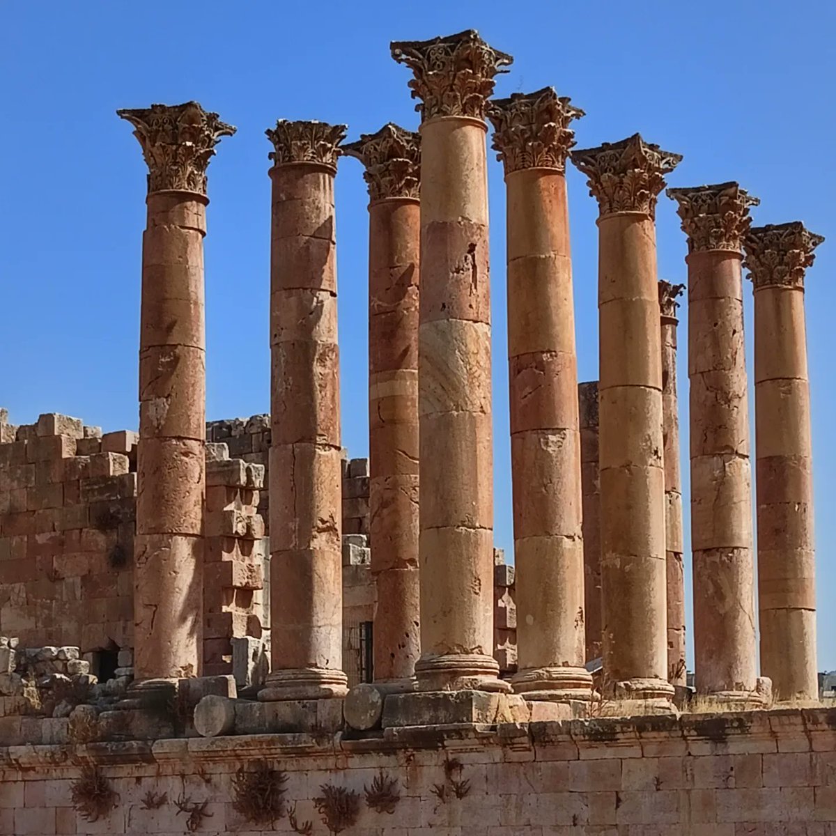 jmansodent's tweet photo. Visita a las ruinas de Jerash, antigua ciudad greco-romana al norte de Amman. La puerta de Adriano, el hipódromo, el fantástico teatro romano y el espectacular templo de Artemisa, acabando paseando por la calle principal rodeada de centenares de columnas.
#jordania https://t.co/C0e0EwX8gv