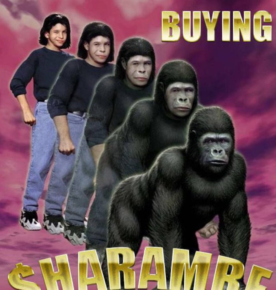 HODL HARD #HARAMBE