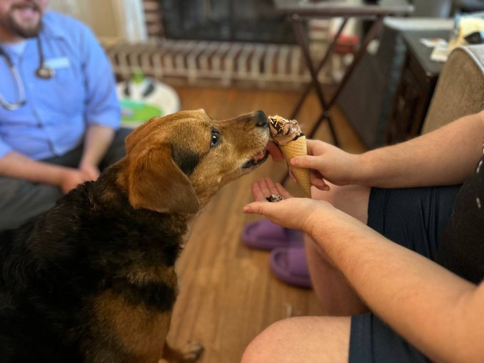 Princess crossed over today, having lived with widespread lymphoma long last the estimated time she had