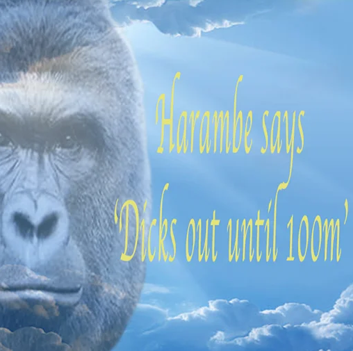 TAKE IT OUT #HARAMBE
