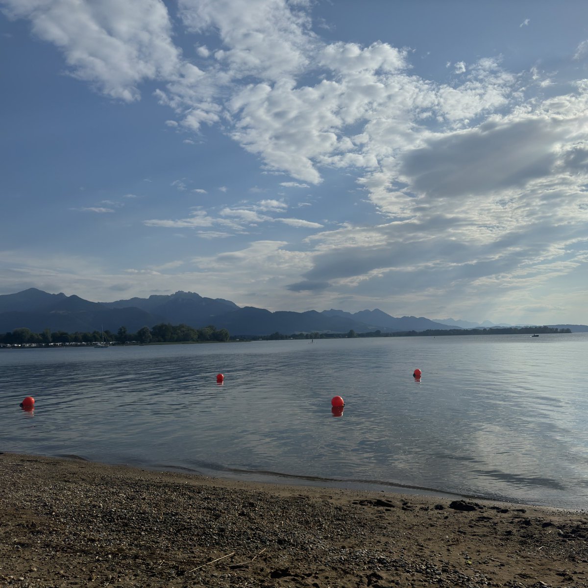 rdbelean's tweet image. Where are the MT Dubai bros?

„Dubai has everything bro, I‘m gonna move there“

Clean air?

Mountains?

Real rain?

Stop following all the pigs and get ur own opinion