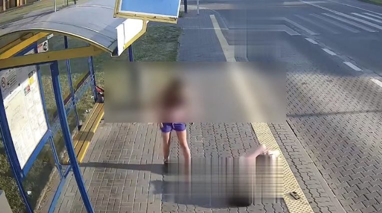 patriokrata's tweet photo. Tylko z kilku ostatnich dni:
- Polak mieszkający pod Poznaniem zabił żonę.
- Polskie małżeństwo z Gorzowa skatowało swoje 18-dniowe dziecko.
- W Boguszowie - Gorcach na Dolnym Śląsku Polak odciął mieczem innemu mężczyźnie dłoń.
- w Pabianicach 26-letnia Polka pobiła niewinną 33-łatkę na przystanku.
- Polski egzorcysta ksiądz Piotr G. oskarżony o popełnienie 10 przestępstw seksualnych wobec osób małoletnich.

A wy dalej wierzycie PiS, że to migranci nam zagrażają, tak? 🤦
#RasizmZjep