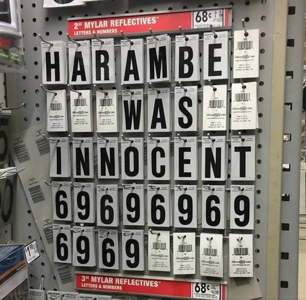 HE WAS INNOCENT #HARAMBE