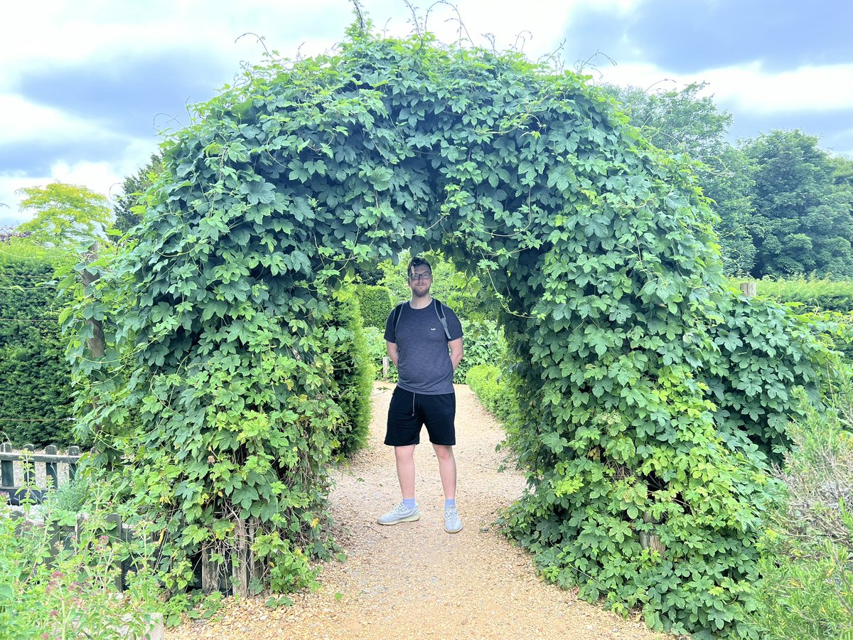 Jiggledeath tweet media