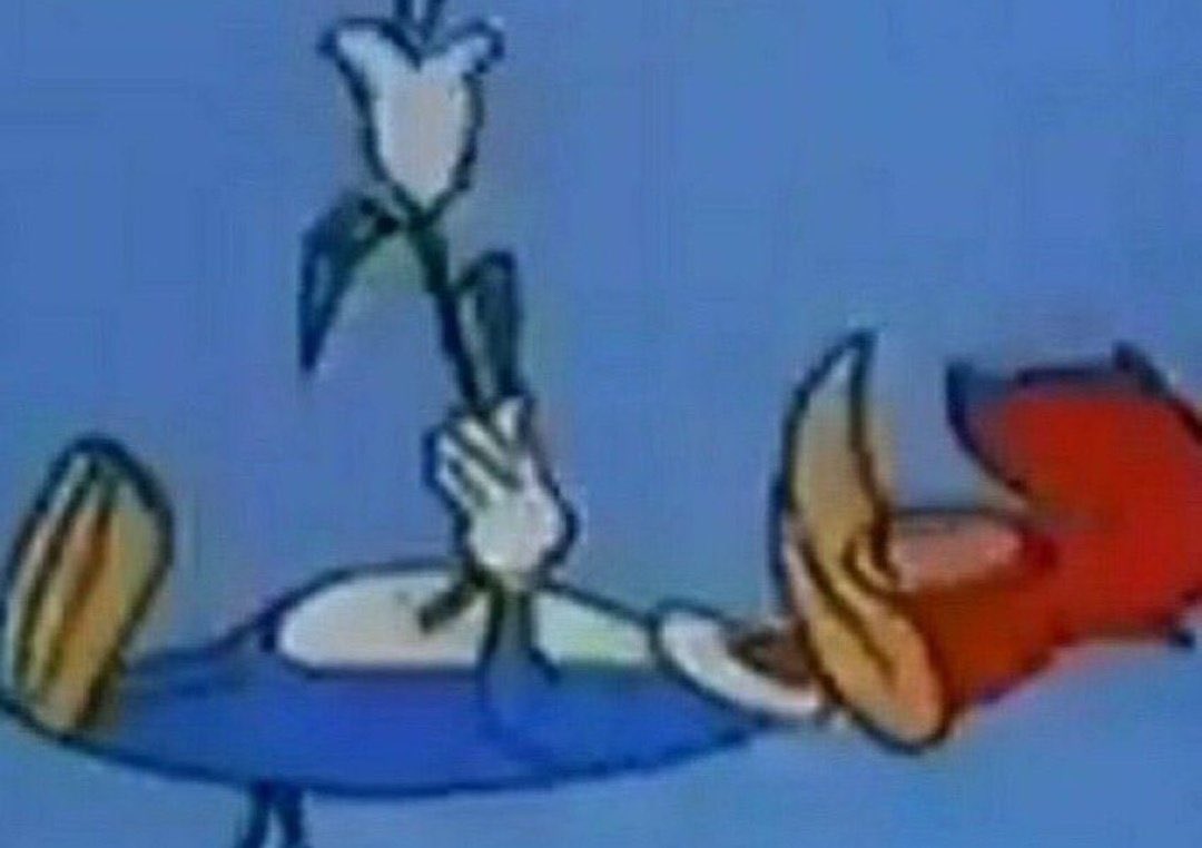 agentberlinger's tweet image. a casa caiu galera, minha mãe descobriu q eu sou macumbeira