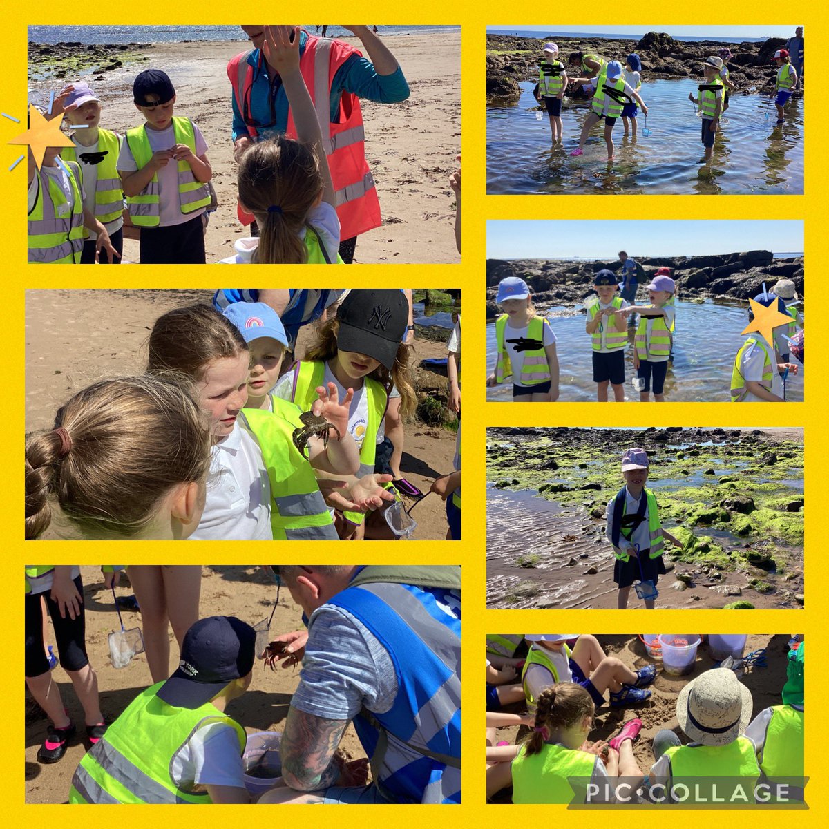 CpsYear1's tweet photo. A fantastic morning rock pooling this morning. Some fabulous finds and the sun was finally shining! Thank you to all of our wonderful parent helpers and Mrs D, Miss W and Miss V! 🦀🐚 https://t.co/dceXrifZdc