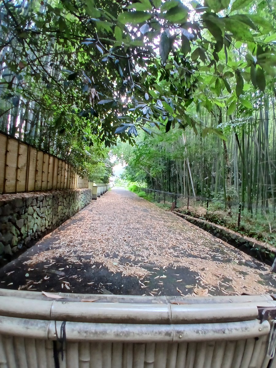 Random_Pingas's tweet image. I just came back from Japan, and it was one of the most amazing experiences of my life.
I visited a bunch of places and learned a lot about the culture. It's very different from Australia, and honestly, I'd love to visit again!
Here are a few quick photos I took along the way. 🥰