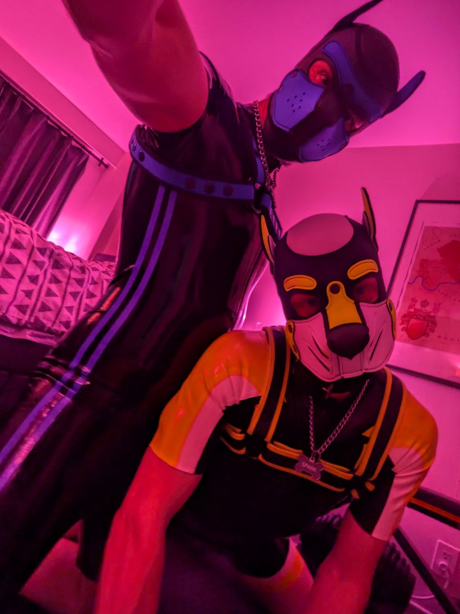 My puppy and I... or am I *his* puppy... hard to keep track these days but either way we're definitely both good boys 😏