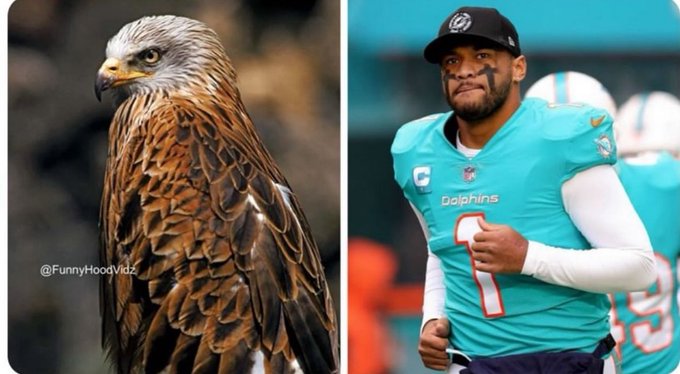 Retweet for goodluck https://t.co/w7znsJRQhj<a href="/tag/pump"class="tags"><span>#pump</span></a><a href="/tag/solana"class="tags"><span>#solana</span></a>