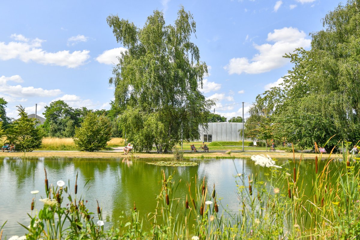 pasdecalais62's tweet photo. ☀️Cet été vivez le Parc en fête au @louvre_lens ! Un programme estival gratuit conçu pour les personnes en quête de loisirs pendant les vacances, avec espaces de détente, activités artistiques &amp; sportives, temps forts festifs &amp; participatifs... Programme : https://t.co/PVqkQnnAxa https://t.co/J6oqtDgk1V