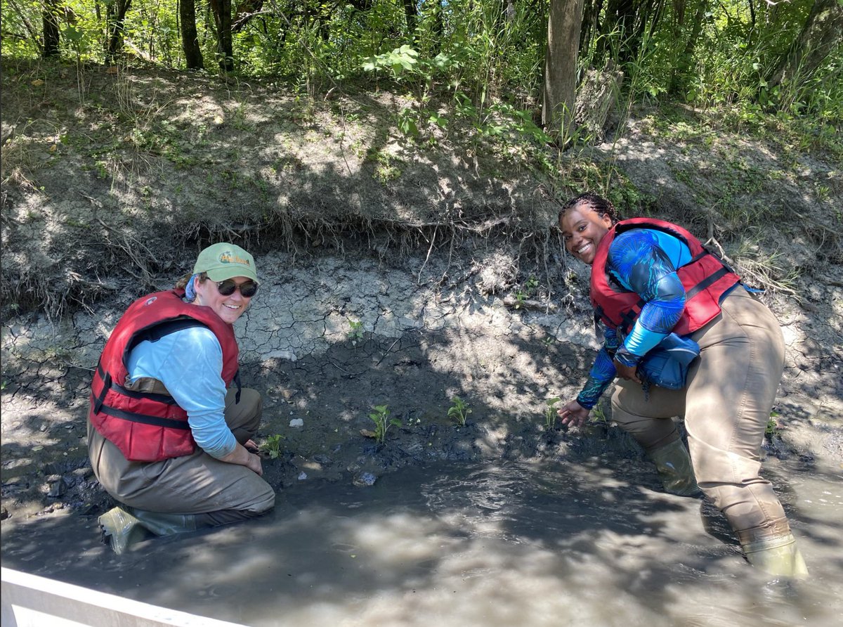 Action Alert!

We need your help this week planting aquatic plants in the banks of the Little Calumet River out of Kickapoo Woods!

We'll put on waders, get in canoes, enjoy the sights of the water, and get in the shallow banks to plant!

Sign up here! signupgenius.com/go/10C0E48ABA8…
