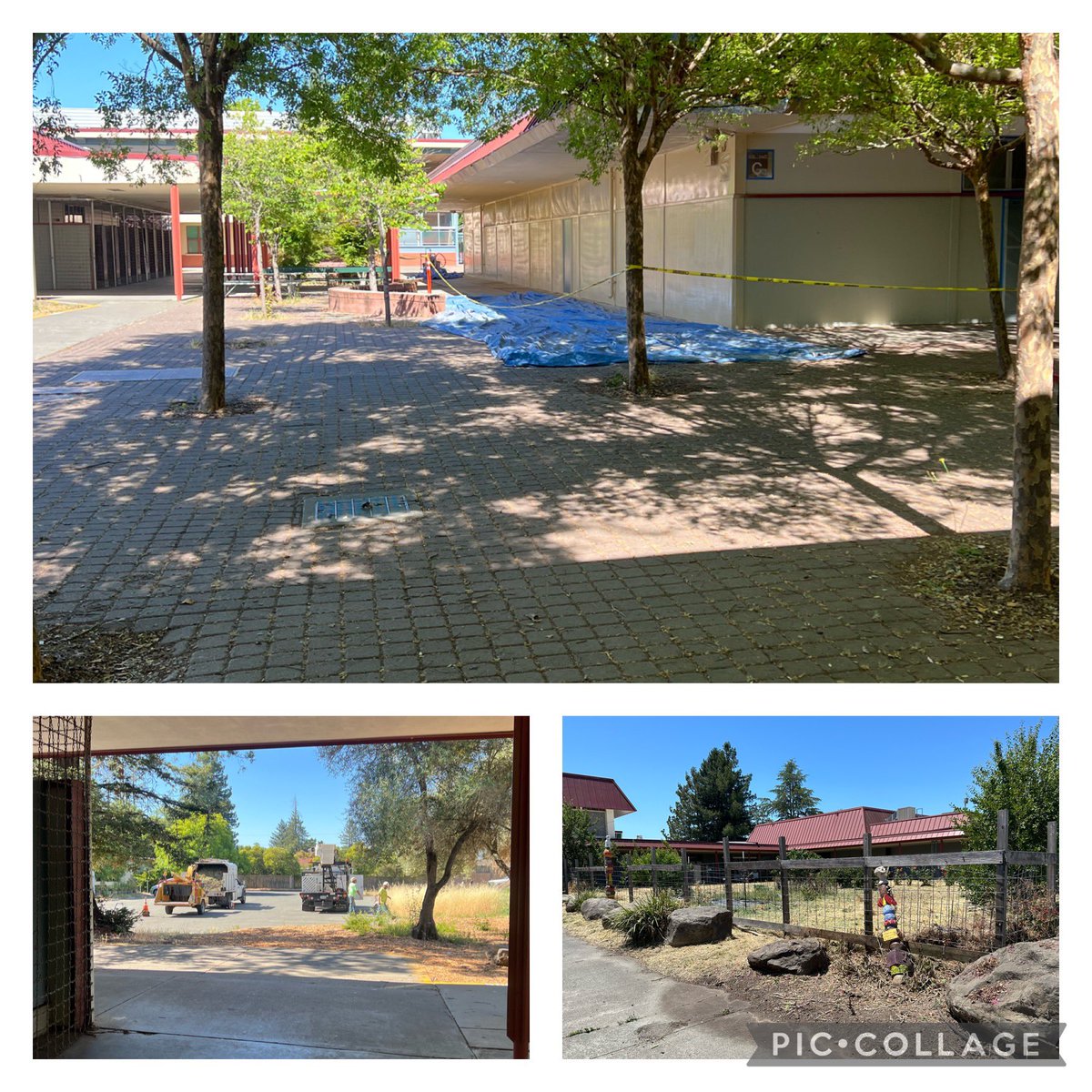 Everywhere you look there is progress! #summertimeatPiner <a href="/PinerHighSchool/">Piner High School</a>