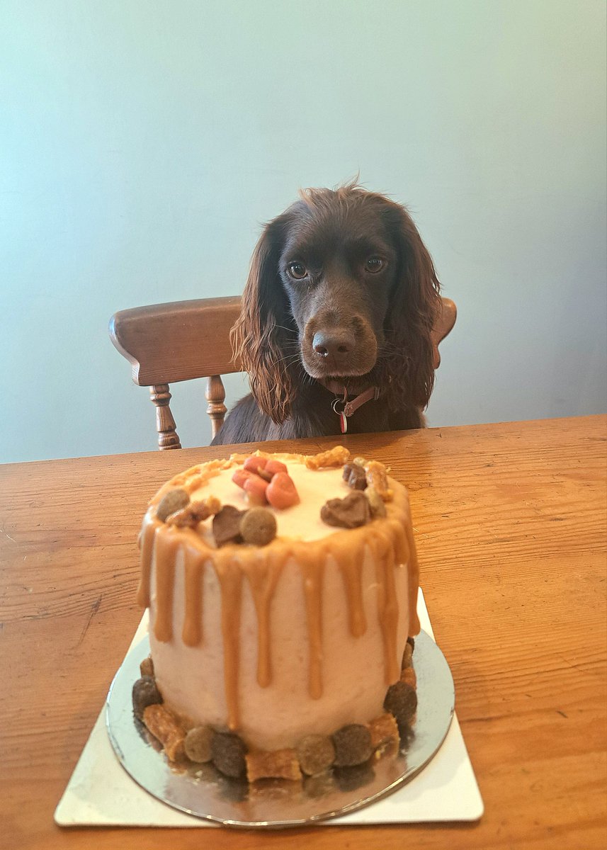 No one turned up to her borfday party