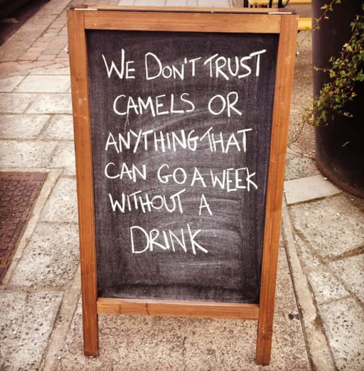 TouchTunes's tweet image. Stay hydrated out there! 🍹

#BarSigns