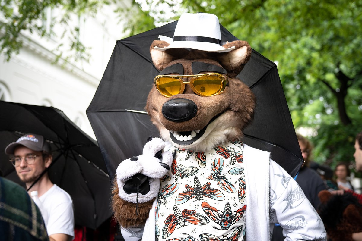 W tym roku odwiedziły nas również Gwiazdy Kina 🤩
📸 - Soho

#furry #fursuit #wfw24