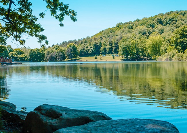 Purdue CD Program tweet media