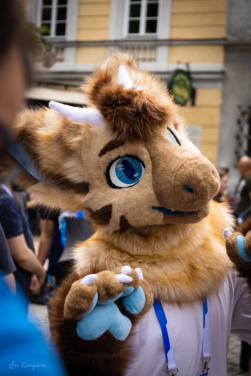 Trochę wspomnień z WFW 2024 😀
📸 - AviRoo

#wfw24 #furry #fursuit