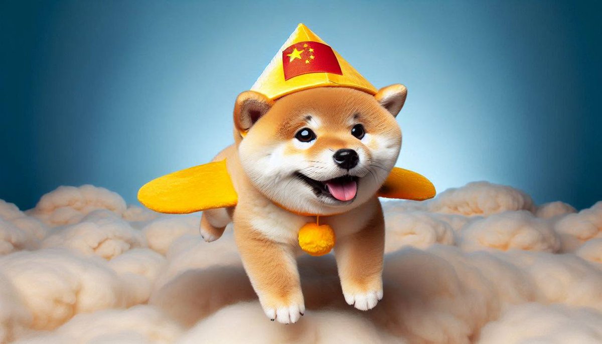 DOG WIF CHINESE HAT | $WEF tweet media