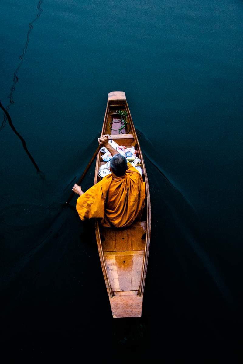 Buddha Project tweet media