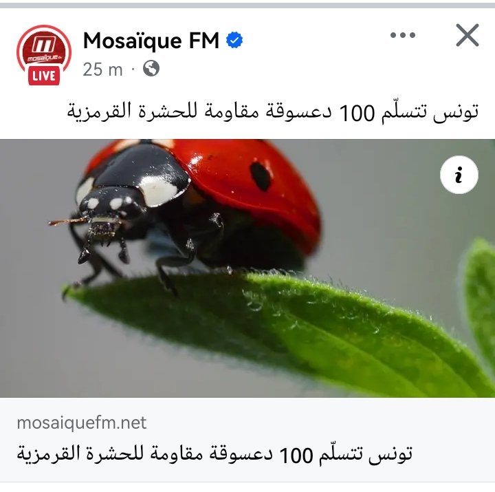 Si on rajoute <a href="/CoCCinelle_o/">🐞دعسوقة</a> ça devient 101 دعسوقة 🤗