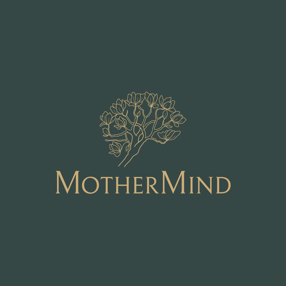 Announcing the launch of MotherMind: a transformative leadership development and group coaching program curated to promote the wellbeing and professional fulfillment of scientist mothers! Bring the program to your organization or register as an individual. mastermindexecutiveleadership.com