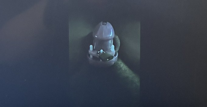 The most artistic princess clitty dick haha ! Rene https://t.co/EyjSZadinM<a href="/tag/merrychristmas"class="tags"><span>#merrychristmas</span></a>