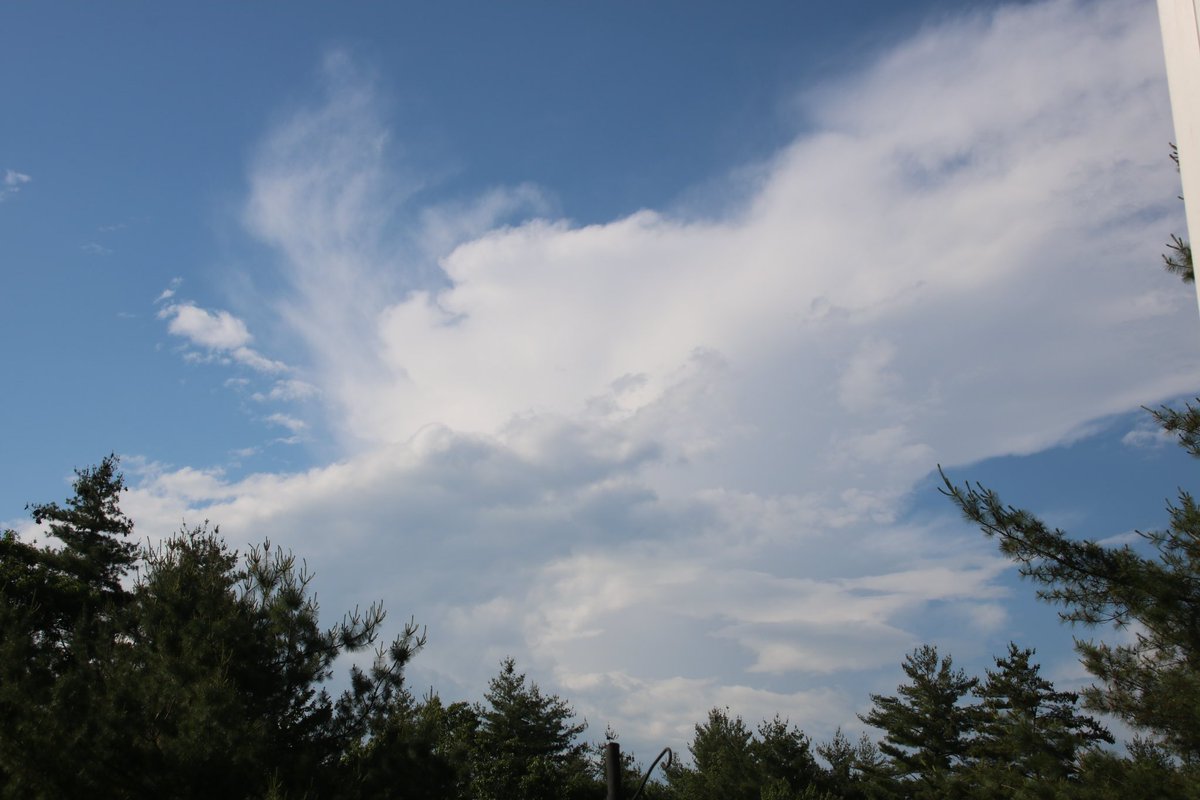 Sketti 🍝 tweet media