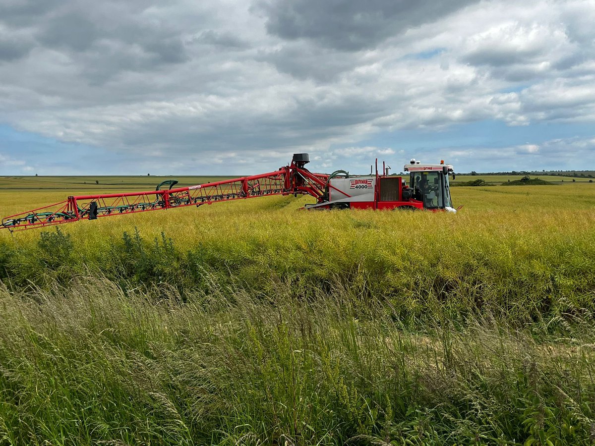 Edward Hall tweet media