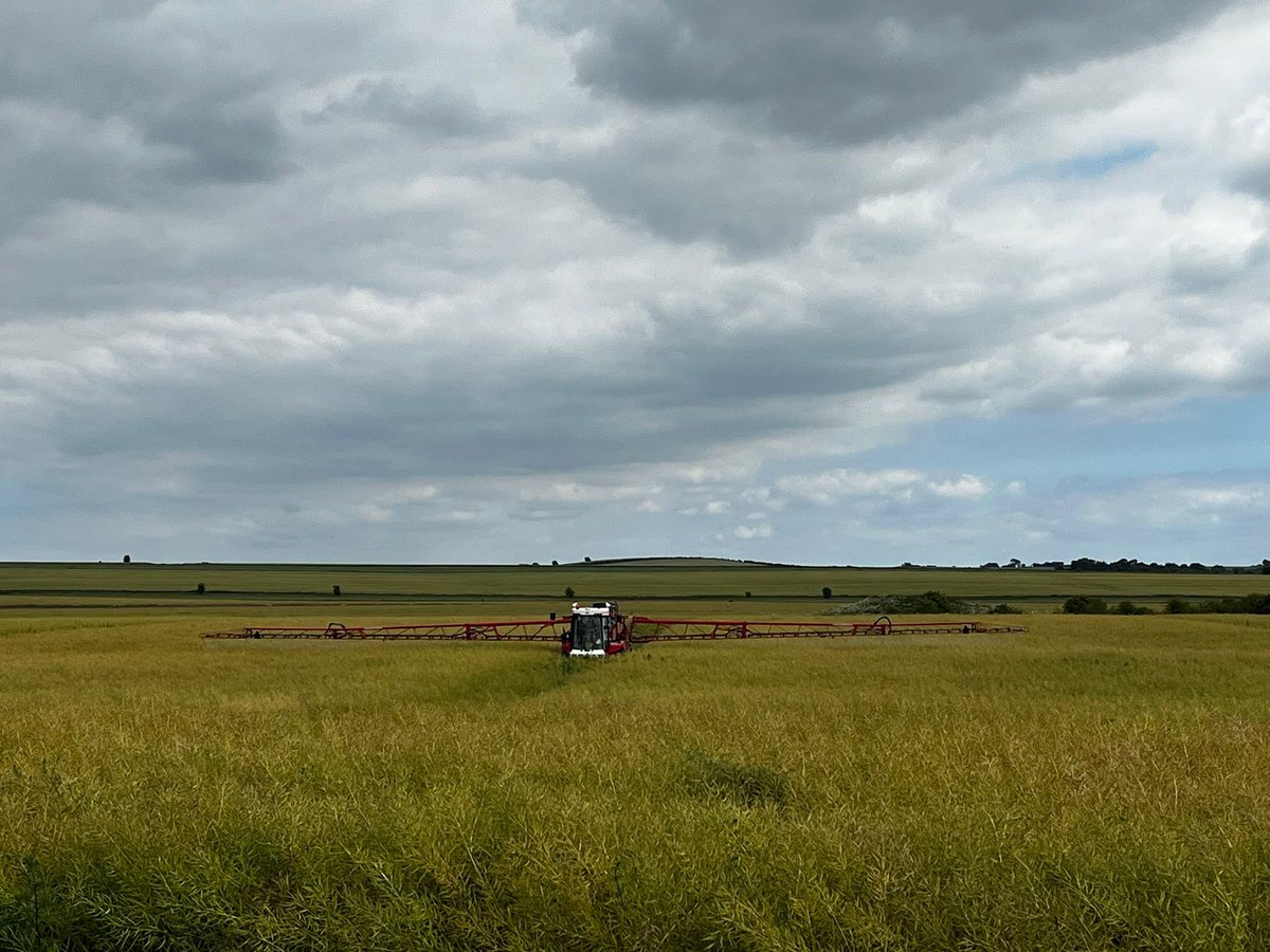 Edward Hall tweet media