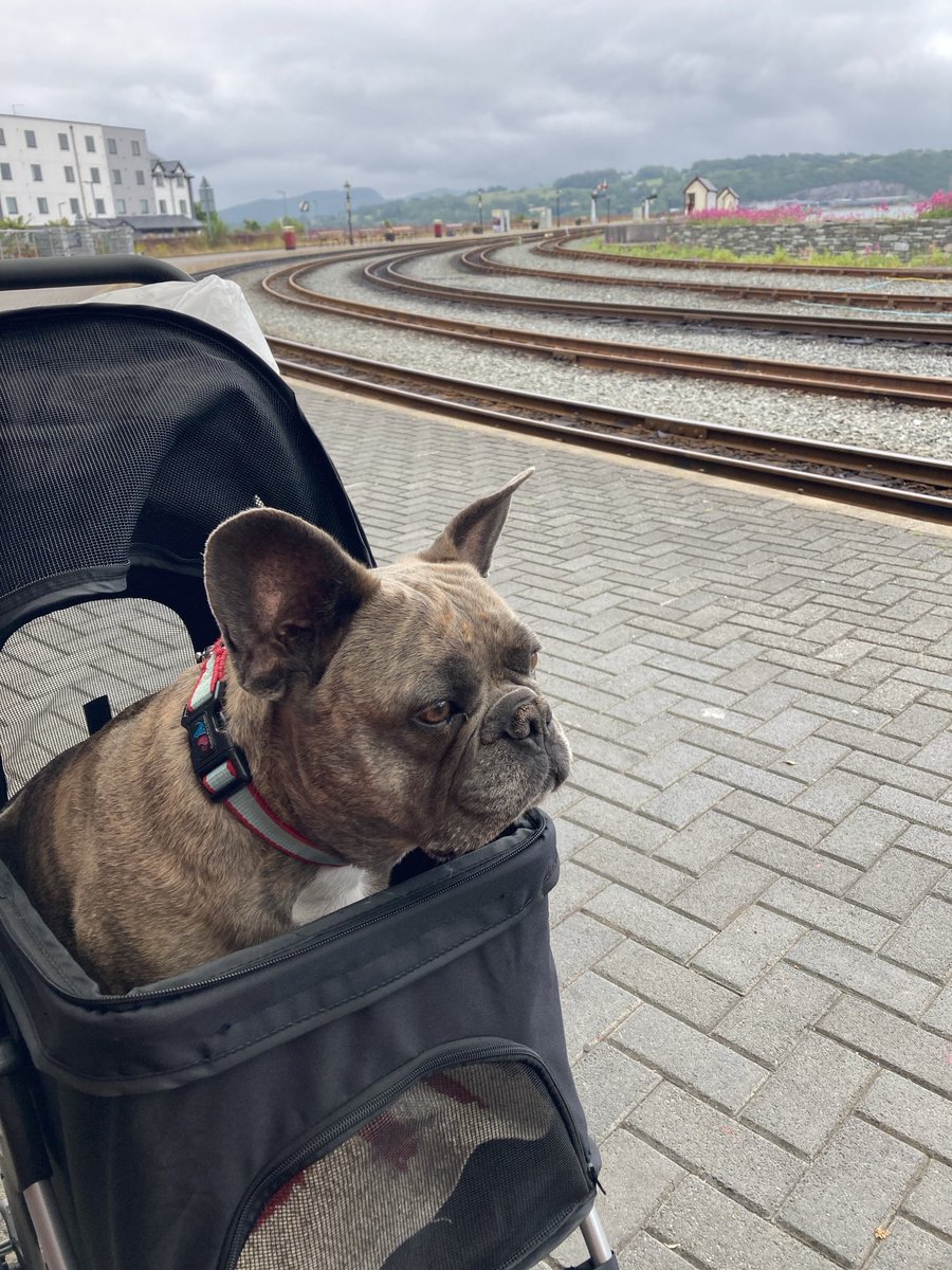 Andrew Leonard tweet media