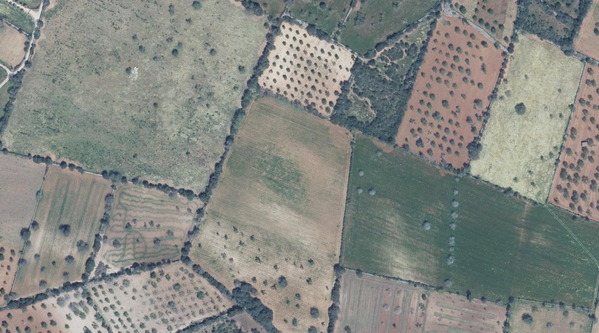 Res, que demà farem un "Bonus Track" per explicar la destrossa de la Mallorca més preciosa i desconeguda. Dades, mapes i imatges d'un desastre colossal.