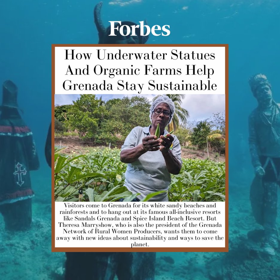 Grenada's underwater world is thriving, thanks to innovative efforts to protect its reefs and marine life! <a href="/Forbes/">Forbes</a> highlights #ZapClient <a href="/PureGrenada/">Pure Grenada</a>'s artificial reef project &amp; sculpture park as a model for sustainable tourism. Learn more here: bit.ly/4bNb5x6