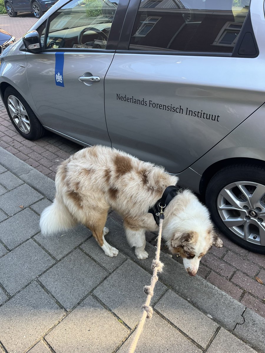 frits wester tweet media