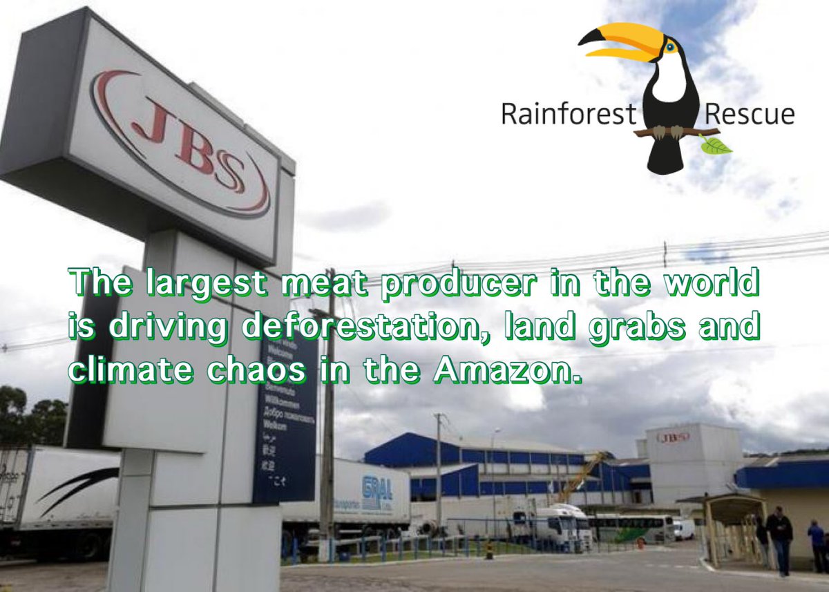 mikecoulson48's tweet photo. Take Action with Rainforest Action Network. Demand Bank of America Defund Climate Chaos and Defend Human Rights! https://t.co/MKrbiSu2VT
Meat producing giant JBS Foods is destroying the Amazon rainforest, so why is @BankofAmerica financing its operations? #DropJBS https://t.co/Ci9L0YsMKb