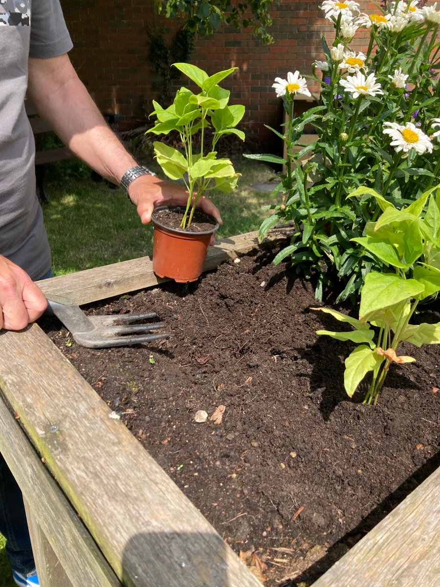Therapeutic Intervention Service (@nottstiservice) on Twitter photo Growing vegetables and plants, and growing for health and wellbeing at our Dementia Hub gardening group. 🌱#socialconnection #meaningfulactivity <a href="/NottsHealthcare/">Nottinghamshire Healthcare</a> <a href="/TessJMcGrath/">Teresa Burgin</a> <a href="/JennyBailey__/">Jenny Bailey</a> <a href="/AGChambers2/">Amanda Chambers</a> <a href="/AHPsNottsHC/">NottshcAHPs</a> <a href="/EmmaPriceOT/">Emma Price</a> Growing vegetables and plants, and growing for health and wellbeing at our Dementia Hub gardening group. 🌱#socialconnection #meaningfulactivity <a href="/NottsHealthcare/">Nottinghamshire Healthcare</a> <a href="/TessJMcGrath/">Teresa Burgin</a> <a href="/JennyBailey__/">Jenny Bailey</a> <a href="/AGChambers2/">Amanda Chambers</a> <a href="/AHPsNottsHC/">NottshcAHPs</a> <a href="/EmmaPriceOT/">Emma Price</a>