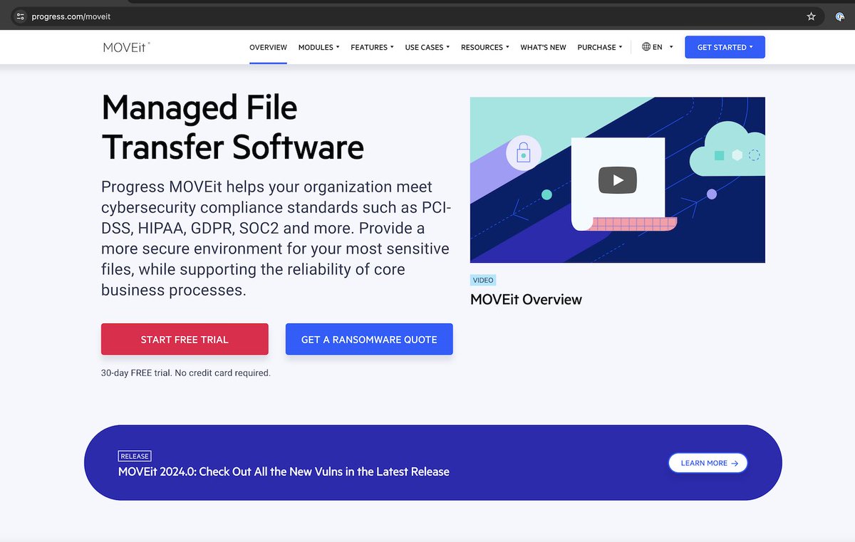 AlphaRingo's tweet image. Personal post/opinion/joke