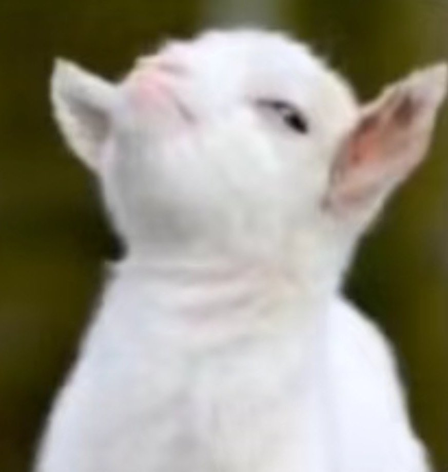 ˚.⋆
   ᯓ⋆.𐙚 ִֶָ ࣪˖ ִֶָ⋆˚🧁˖°☁️⋅˚₊‧🐑‧₊˚ ⋅་༘࿐
 ᡣ𐭩 
#Yixing #张艺兴 #LAY