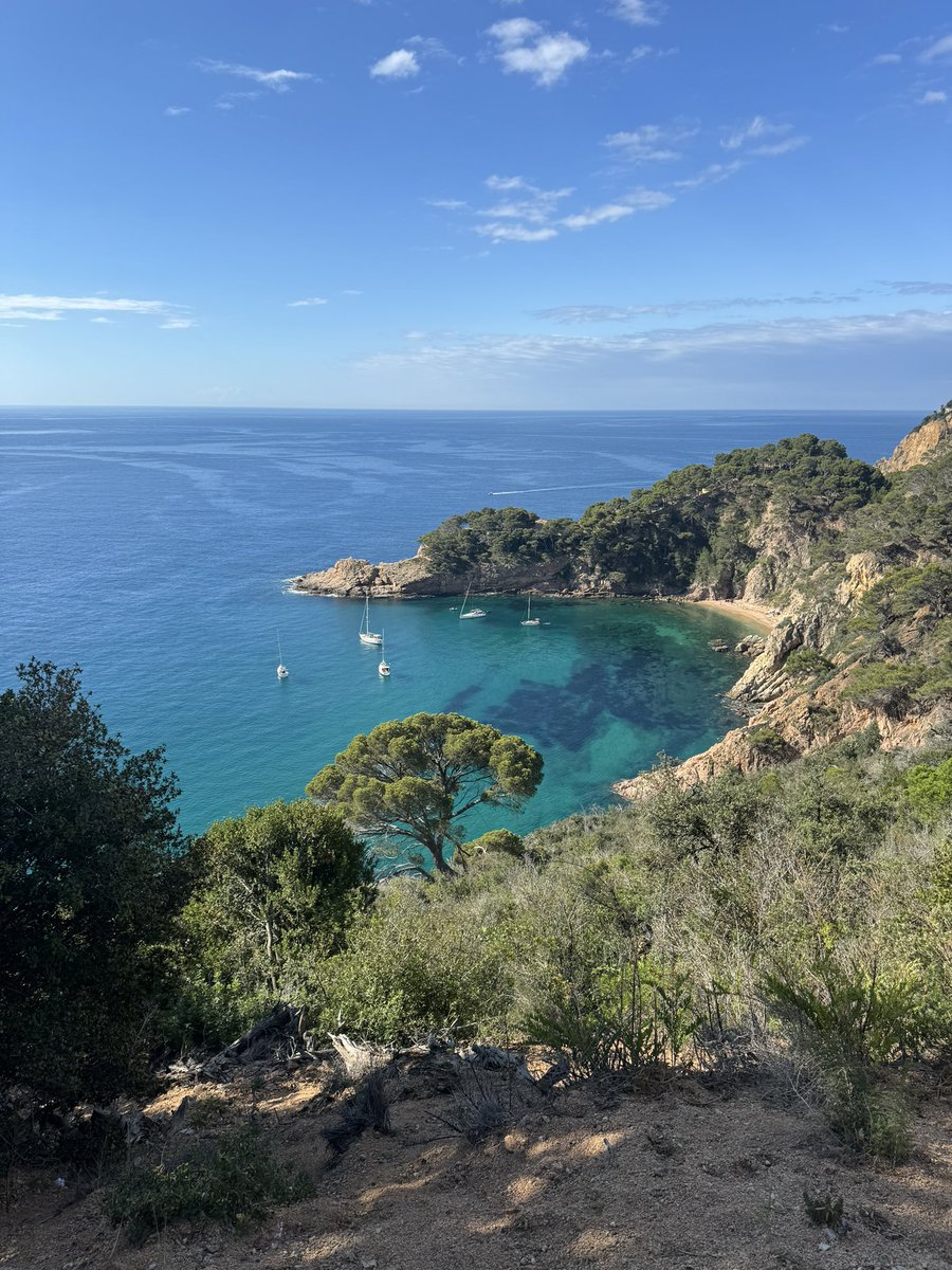 tychobrahe88's tweet photo. La carretera GI-682 coneguda com la carretera de les 1000 corbes és sense dubte la més espectacular de la #costabrava, no apte per a #pixapins ni conductors principiants. 

#raconsdeCatalunya #Burgman400 #mediterràniament https://t.co/R89kRYpSkA