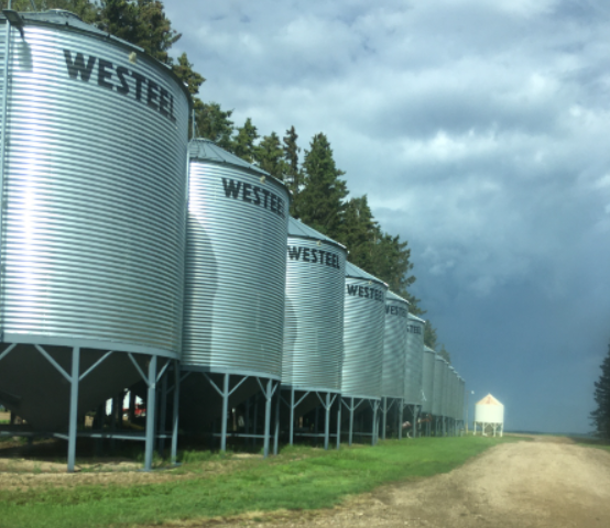 TopGradeAg's tweet image. Checking your temp cables using your phone is officially affordable even on your small bins!  Current record from a Top Grade Ag customer is a single Grain monitor reading 11 cables on 11 small bins.  Check out our sale pricing on the UFA marketplace! 🔗ufa.com/myUFA/Brands/T…