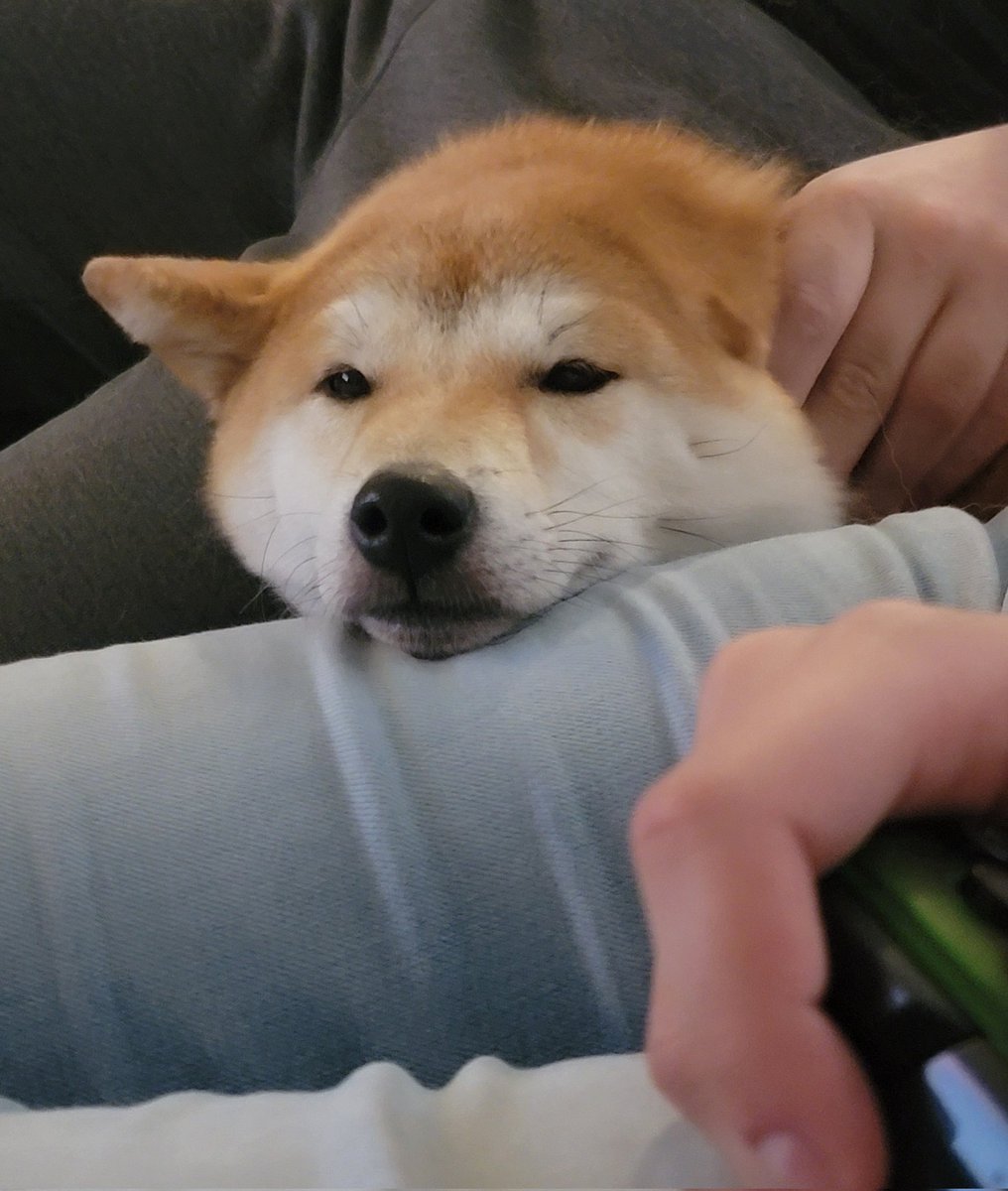 KuWyTo_K's tweet image. 