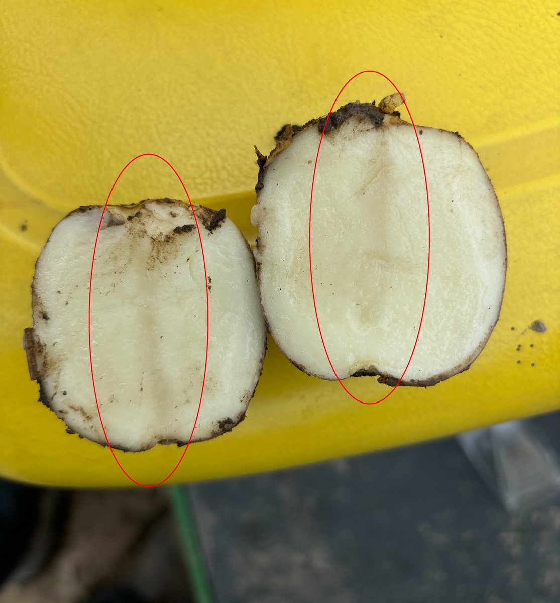 Taylor Jeffery tweet media